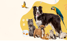 lovelypetpal-banner