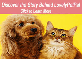 Click to LovelyPetPal  News