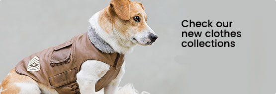 New Arrivals at LovelyPetPal