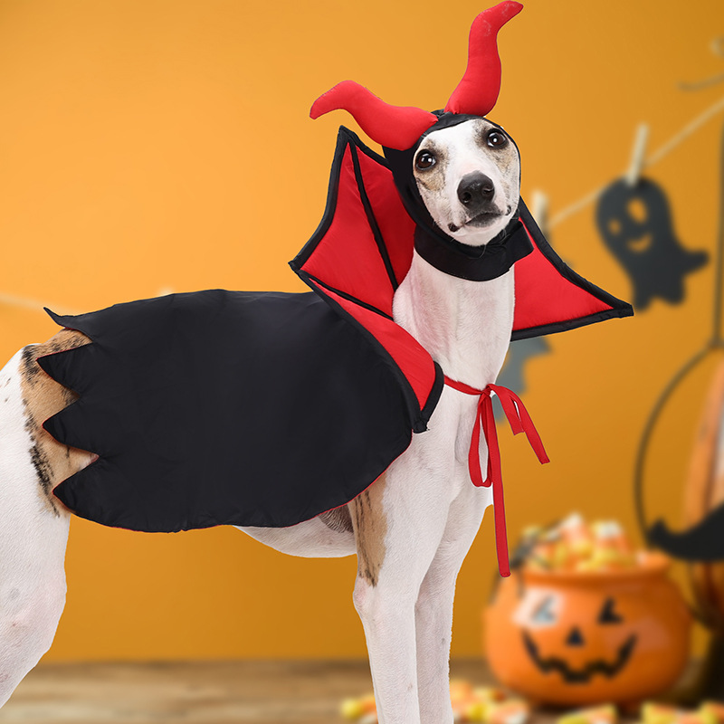 Festive Pet Costume Set Halloween dog cloak